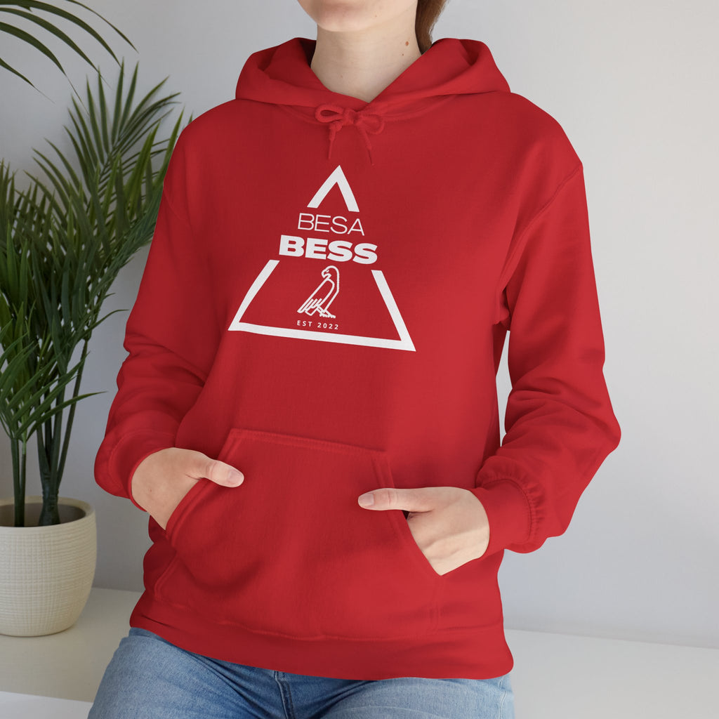 Besa Bess | Triangle Crest Hoodie
